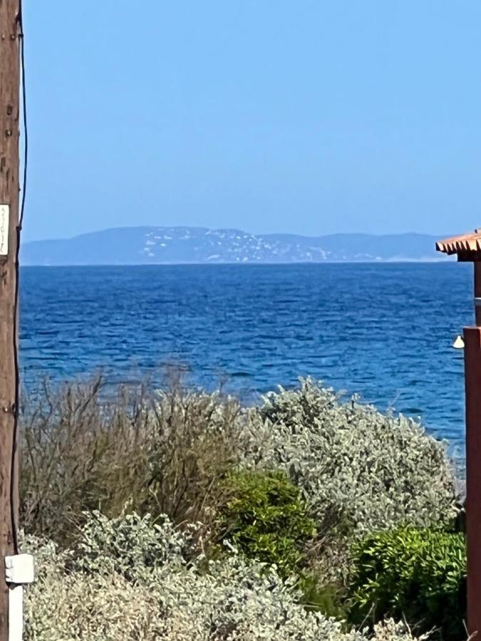 Plein Sud, Bel Appartement 20 Metres De La Plage La Capte Hyeres Exterior photo